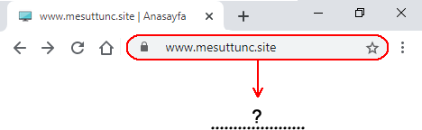 adres çubuğu